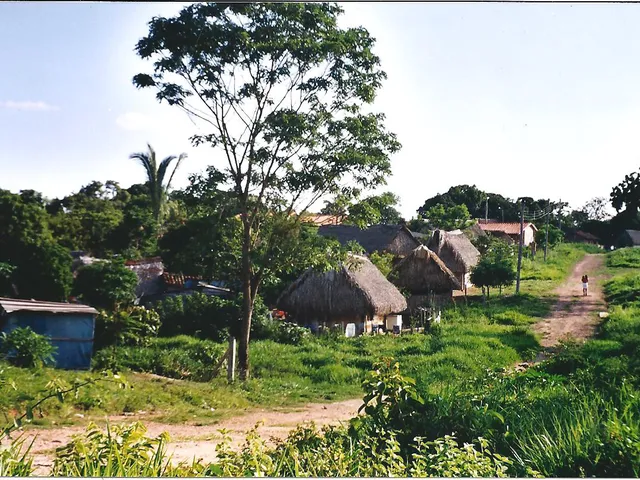 Straße in Ascensión