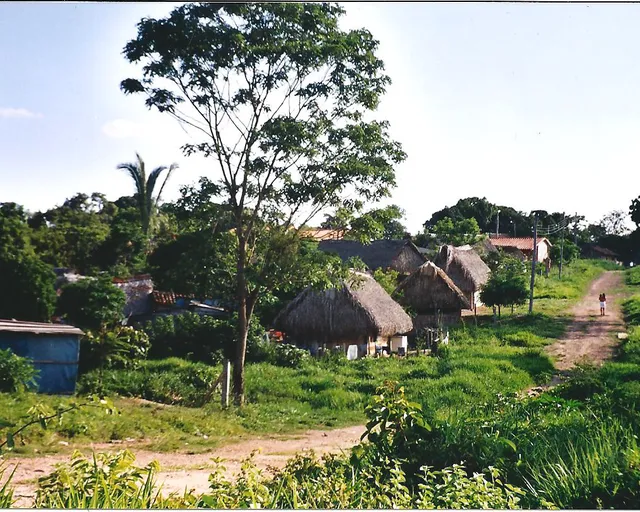 Straße in Ascensión
