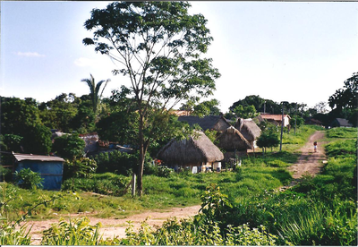 Straße in Ascensión