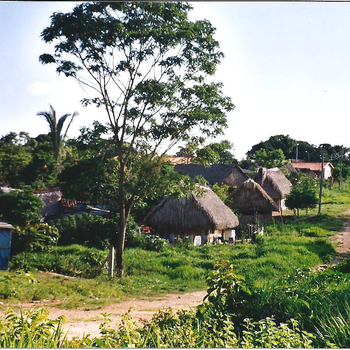 Straße in Ascensión