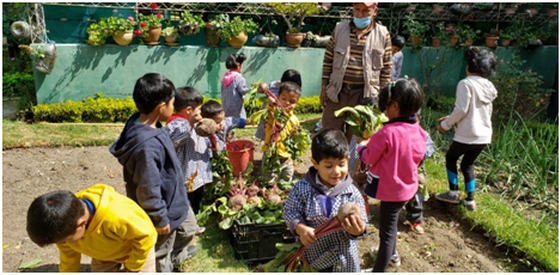 Kinder im heimeigenen Gemüsegarten